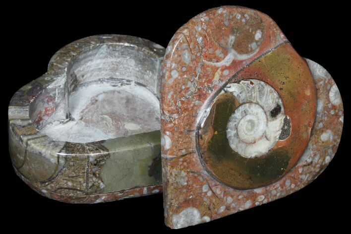 Fossil Goniatite Box (Heart) - Stoneware #123543